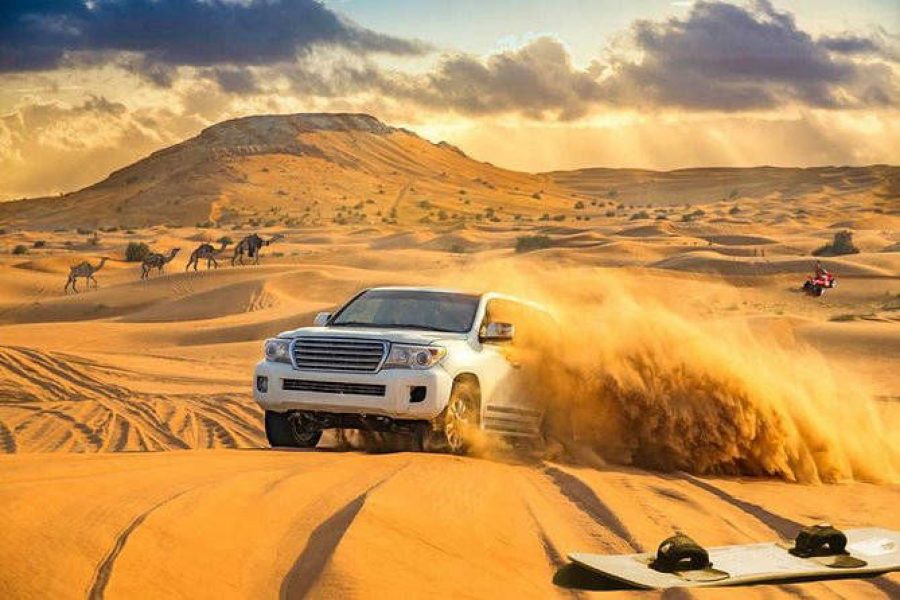 Morning Desert Safari: Quad Bike Experience, Sandboarding & Camel Ride