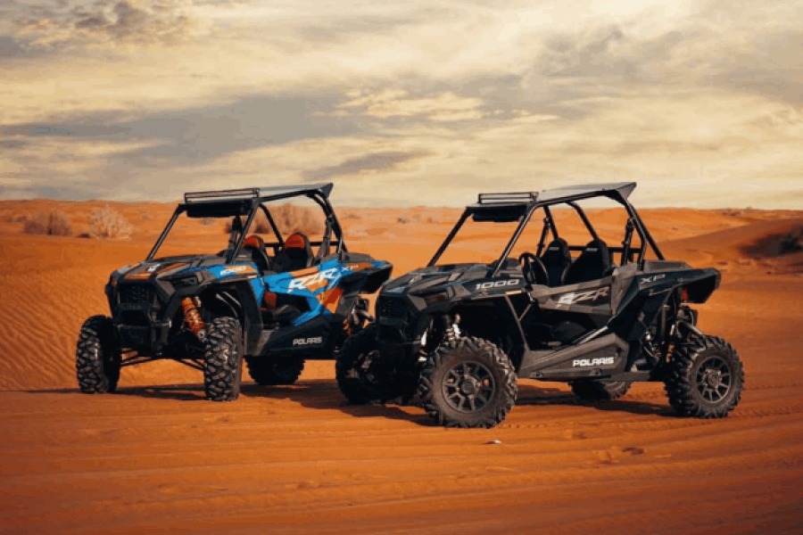 Dubai Desert Safari: Red Dunes Sandboarding, Live Show + Dinner