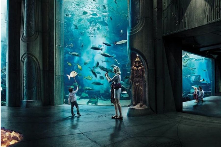 The Lost Chambers Aquarium: Entry Ticket