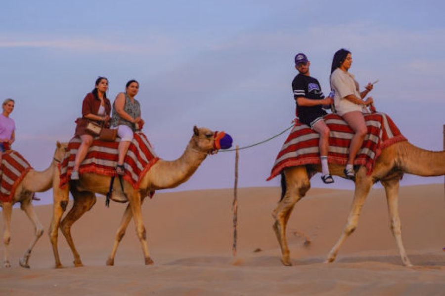 Dubai Morning Desert Safari: Camel Rides & Sandboarding