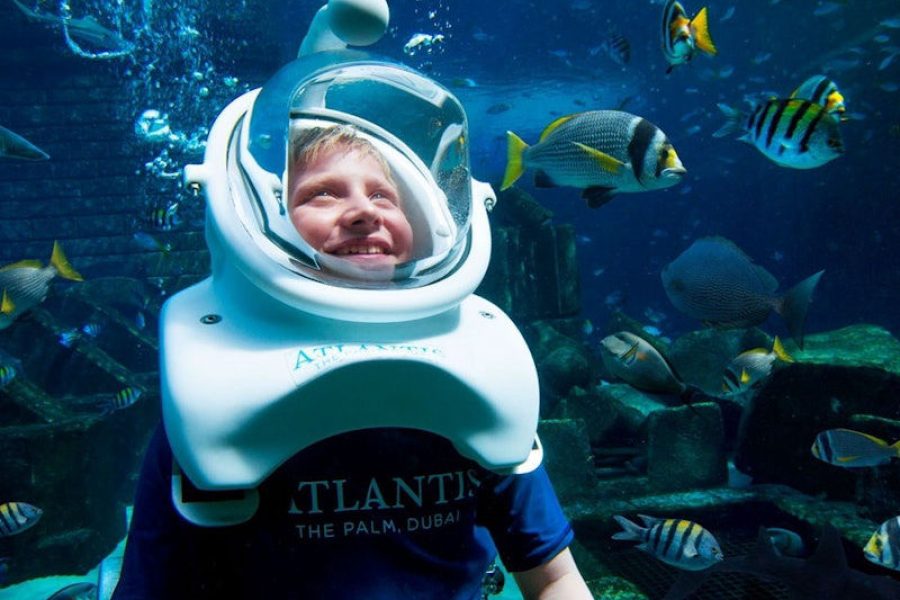 Dubai Aquarium & Underwater Zoo: Entry Ticket + Penguin Encounter