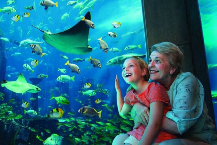 Aquaventure: Entry Ticket + Shark Safari or Snorkel