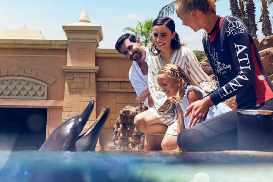 Aquaventure: Entry Ticket + Atlas Village Sea Lion Experience