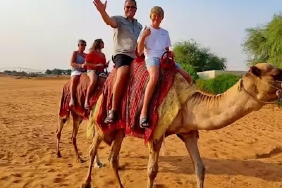 Dubai Desert: Camel Ride Safari in Red Dunes