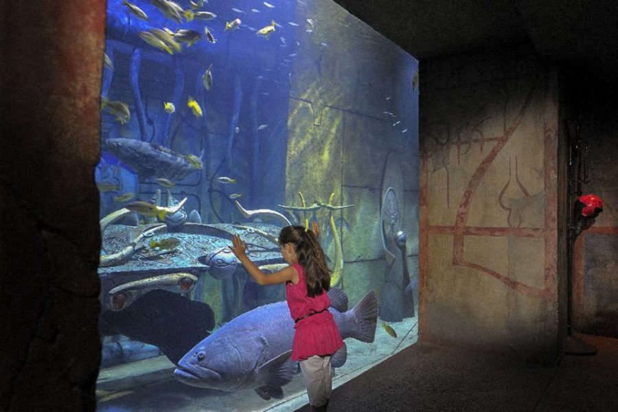 The Lost Chambers Aquarium: Diving & Snorkeling Experiences