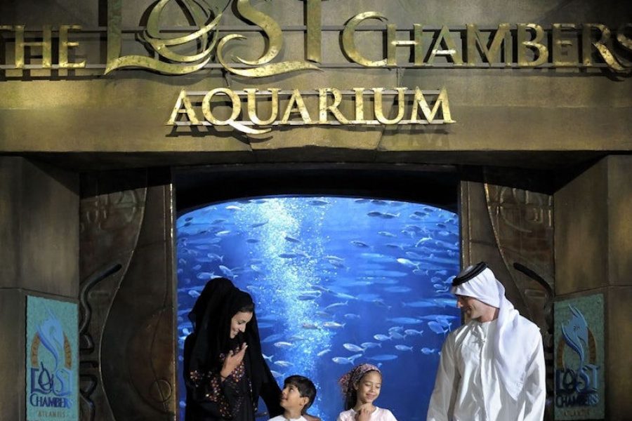 The Lost Chambers Aquarium + Fish Tales Tour