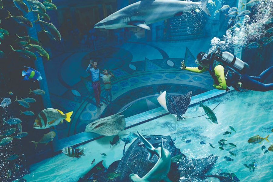 Aquaventure & Lost Chambers: Entry Ticket (Super Pass)