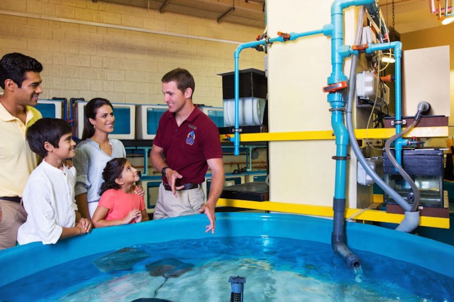 The Lost Chamber Aquarium: Aquarium Experiences