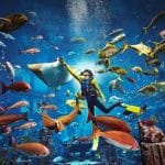 Dubai’s Futuristic Attractions: Beyond Burj Khalifa & Palm Jumeirah