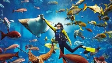 Dubai’s Futuristic Attractions: Beyond Burj Khalifa & Palm Jumeirah