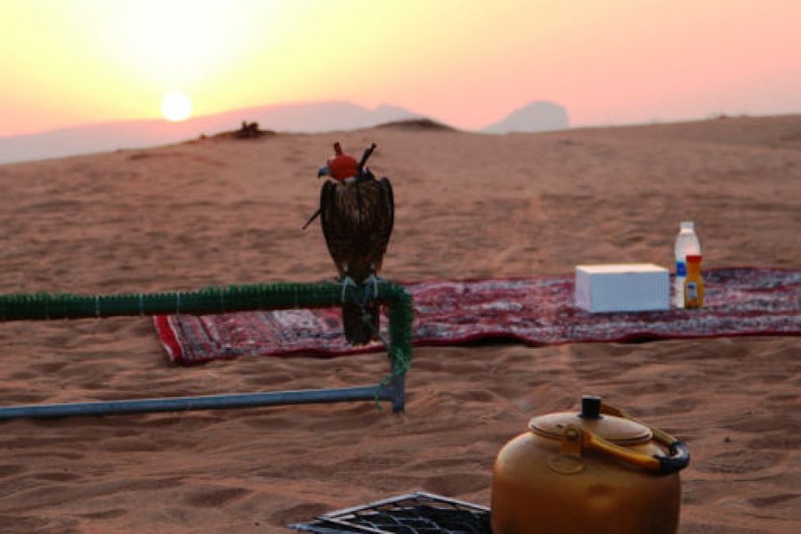 Sunrise Desert Safari: Smooth Dune Drive & Al Qudra Lake with Picnic Breakfast