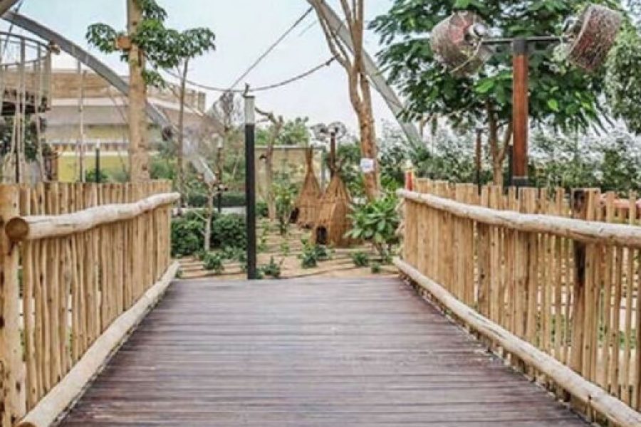 Dubai Safari Park: Entry Ticket + Train Ride + Explorer Safari Tour