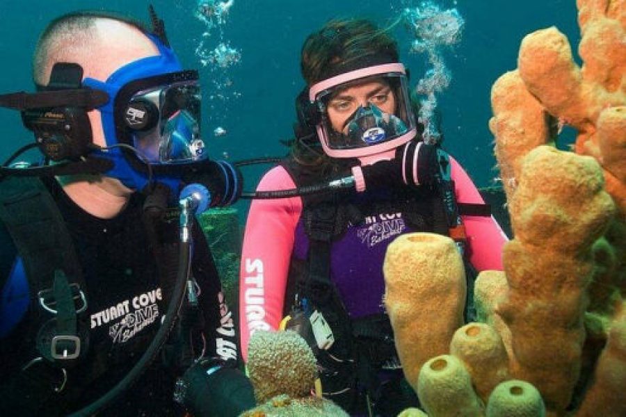 Dubai Scuba Dive: Experience for Beginners