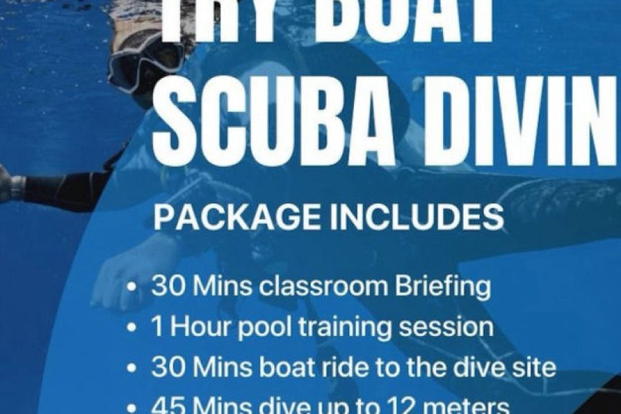 Dubai: Scuba Diving Boat Tour