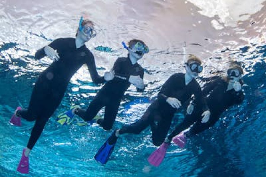 Snorkeling at Deep Dive Dubai