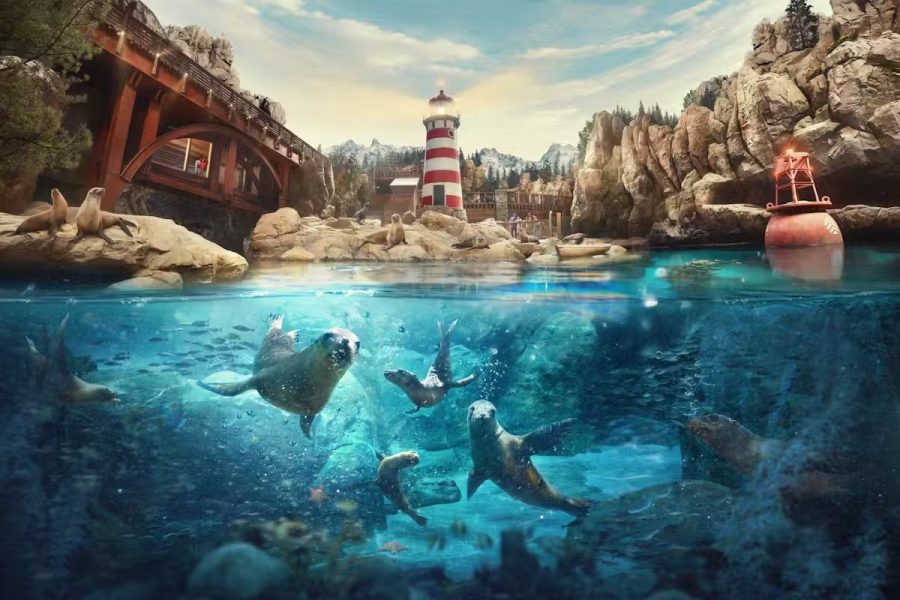 SeaWorld Abu Dhabi: Entry Ticket + Shuttle Service